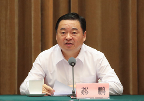 郝鵬、國資、央企、國資委、書記、主任、國企、企業改革
